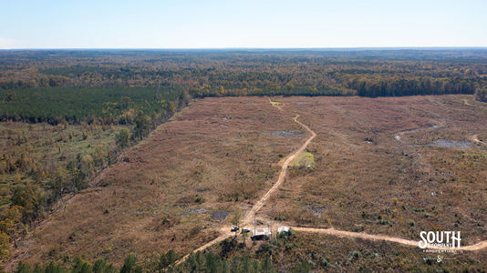 Bridges Rd-105
