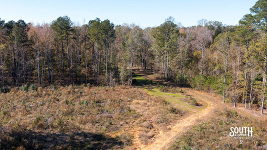Bridges Rd-107