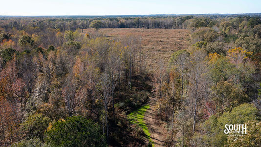 Bridges Rd-108