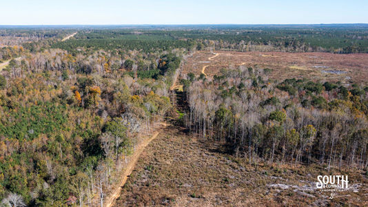 Bridges Rd-110