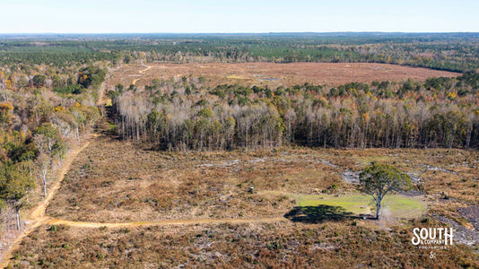 Bridges Rd-111