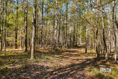 Bridges Rd-118
