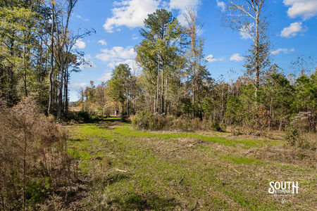 Bridges Rd-126