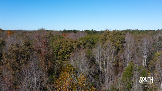 Bridges Rd-127
