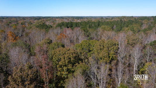 Bridges Rd-128