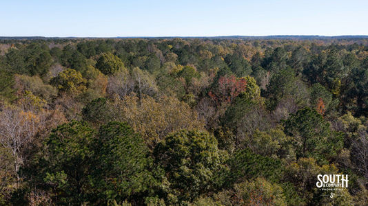 Bridges Rd-129