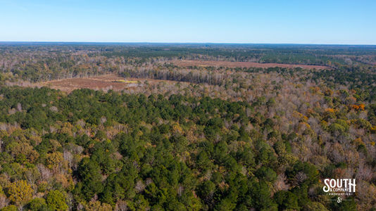 Bridges Rd-131