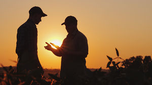 AdobeStock_325999478_farm