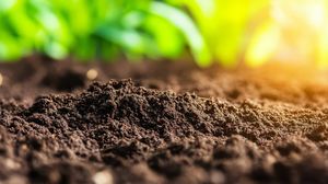 emerging trends in Mississippi agribusiness