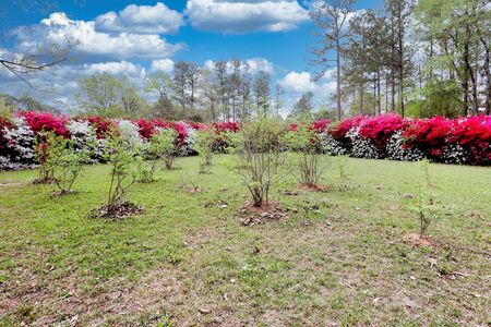 20250409164811215692000000-o