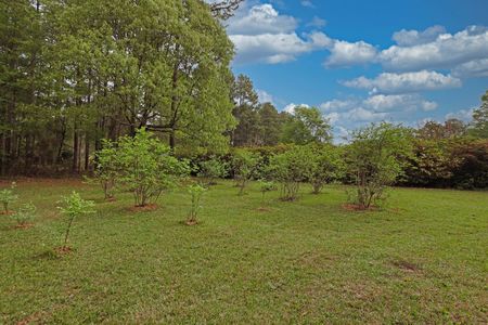 20250409164833338770000000-o