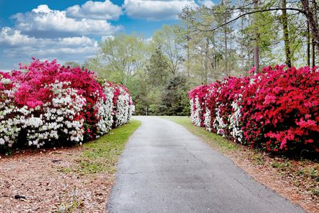 20250409164909980181000000-o