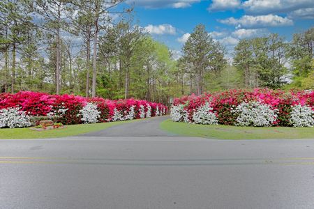 20250409164916525781000000-o