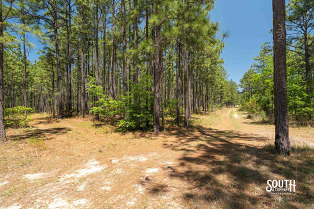 00_Purvis_to_Baxterville_Rd_LowRes-10