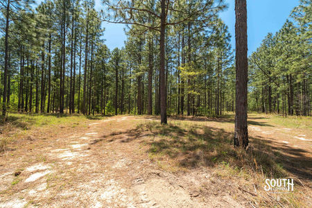 00_Purvis_to_Baxterville_Rd_LowRes-11