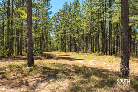 00_Purvis_to_Baxterville_Rd_LowRes-12