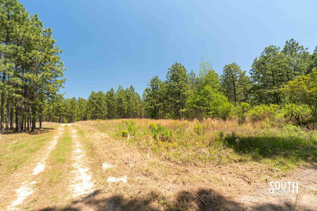 00_Purvis_to_Baxterville_Rd_LowRes-13