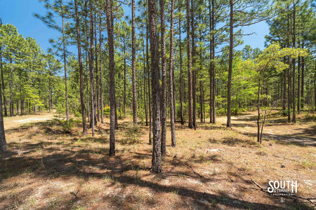 00_Purvis_to_Baxterville_Rd_LowRes-14