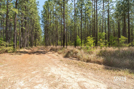 00_Purvis_to_Baxterville_Rd_LowRes-15