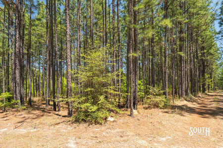 00_Purvis_to_Baxterville_Rd_LowRes-16