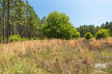 00_Purvis_to_Baxterville_Rd_LowRes-17