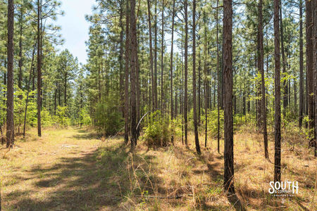 00_Purvis_to_Baxterville_Rd_LowRes-18