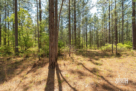 00_Purvis_to_Baxterville_Rd_LowRes-19