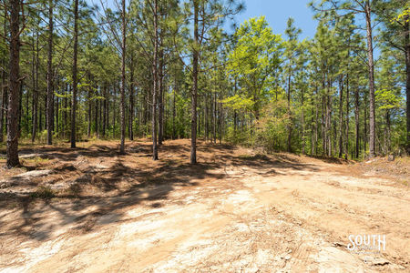 00_Purvis_to_Baxterville_Rd_LowRes-20