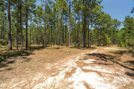 00_Purvis_to_Baxterville_Rd_LowRes-21