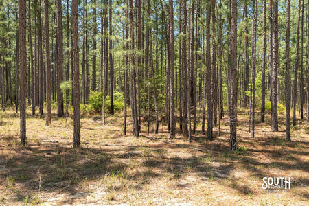 00_Purvis_to_Baxterville_Rd_LowRes-7