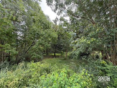 Hillcrest_Ln_Purvis-114