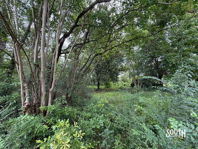 Hillcrest_Ln_Purvis-115