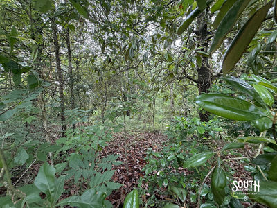 Hillcrest_Ln_Purvis-118