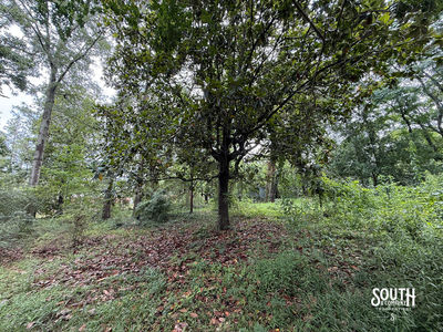 Hillcrest_Ln_Purvis-123