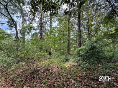 Hillcrest_Ln_Purvis-124