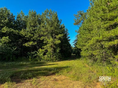 275-Lamar-Bellevue-105