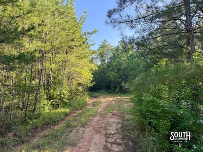 275-Lamar-Bellevue-106