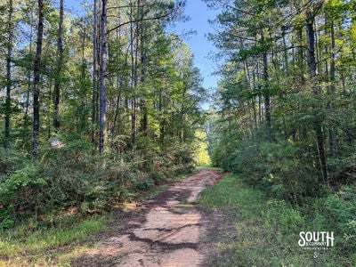 275-Lamar-Bellevue-107