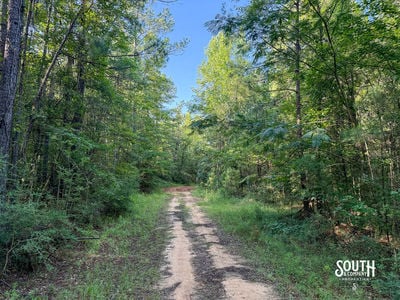 275-Lamar-Bellevue-108