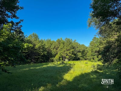 275-Lamar-Bellevue-109