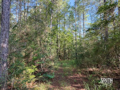 275-Lamar-Bellevue-110