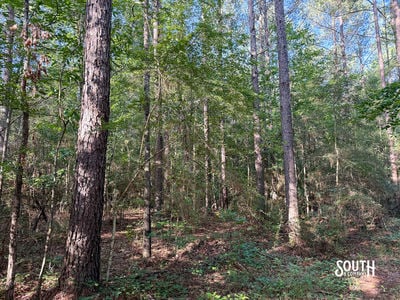 275-Lamar-Bellevue-111