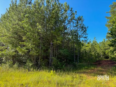 275-Lamar-Bellevue-112