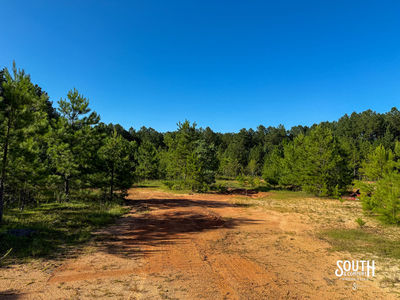 275-Lamar-Bellevue-114