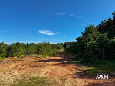 275-Lamar-Bellevue-115