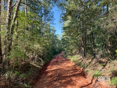 275-Lamar-Bellevue-116