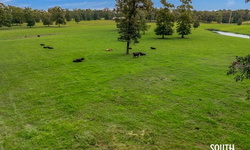 65± Acres of Turnkey Cattle Farm in Wayne County, MS