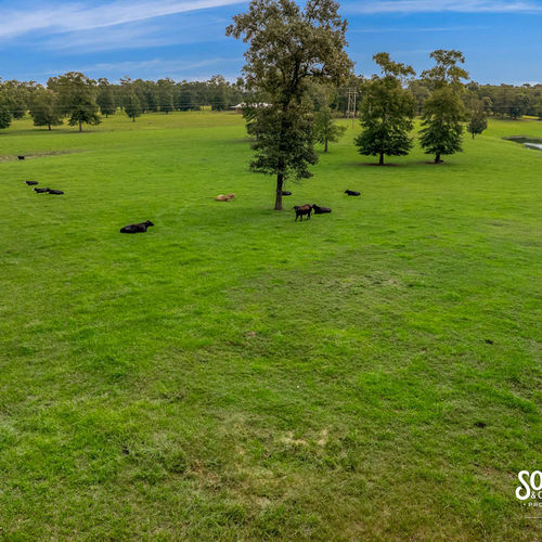 65± Acres of Turnkey Cattle Farm in Wayne County, MS