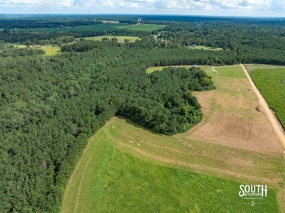 J_Runnels_Common-12.0