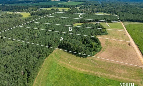 Land for Sale in Petal, MS